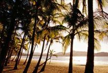 The Cream Of Costa Rica